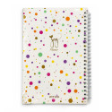 دفتر پلنر پیتیکو هفتگی سلفون سیمی 480