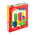چینه کاکتوس