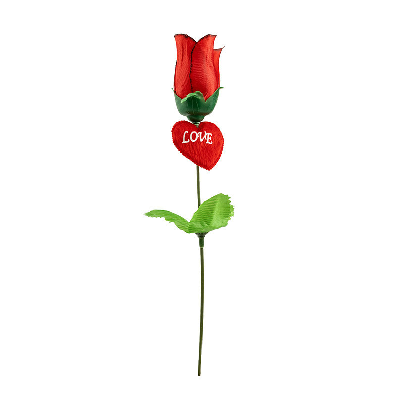 گل رز سلفونی ستاره ای 24 عددی for you with love